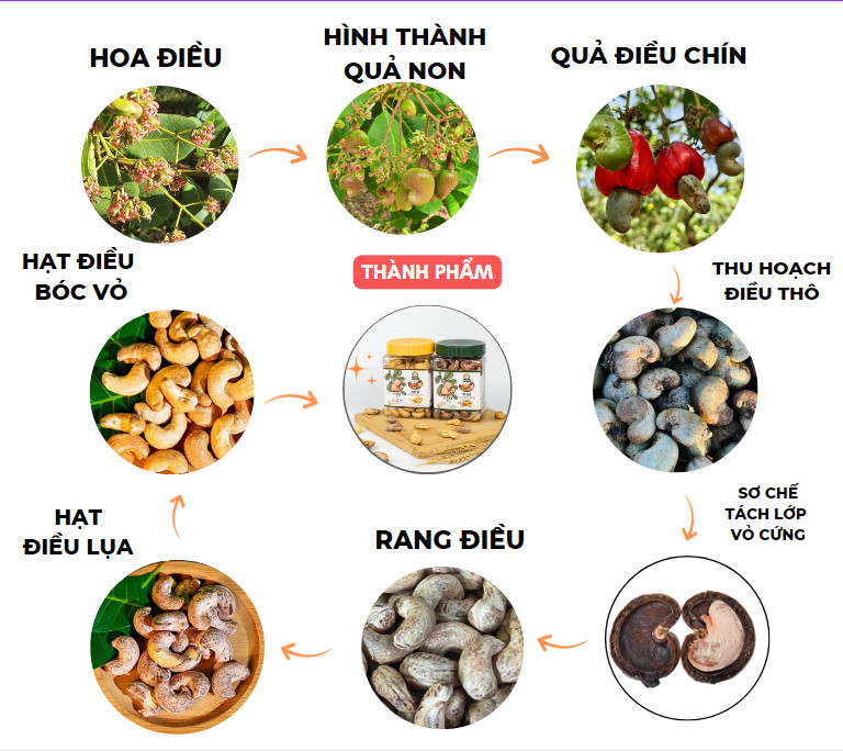 quy trình sản xuất chế biến hạt điều rang muối bà tư bình phước