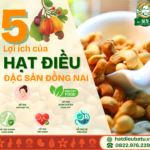 5 Lợi Ích Của Hạt Điều Đặc Sản Đồng Nai Bạn Nên Biết
